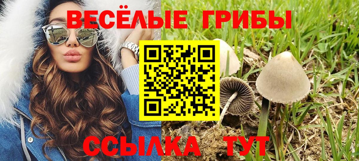 Псилоцибиновые грибы MAGIC MUSHROOMS Усолье-Сибирское